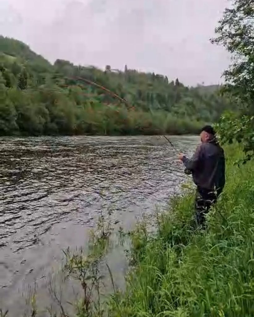 Skitt fiske