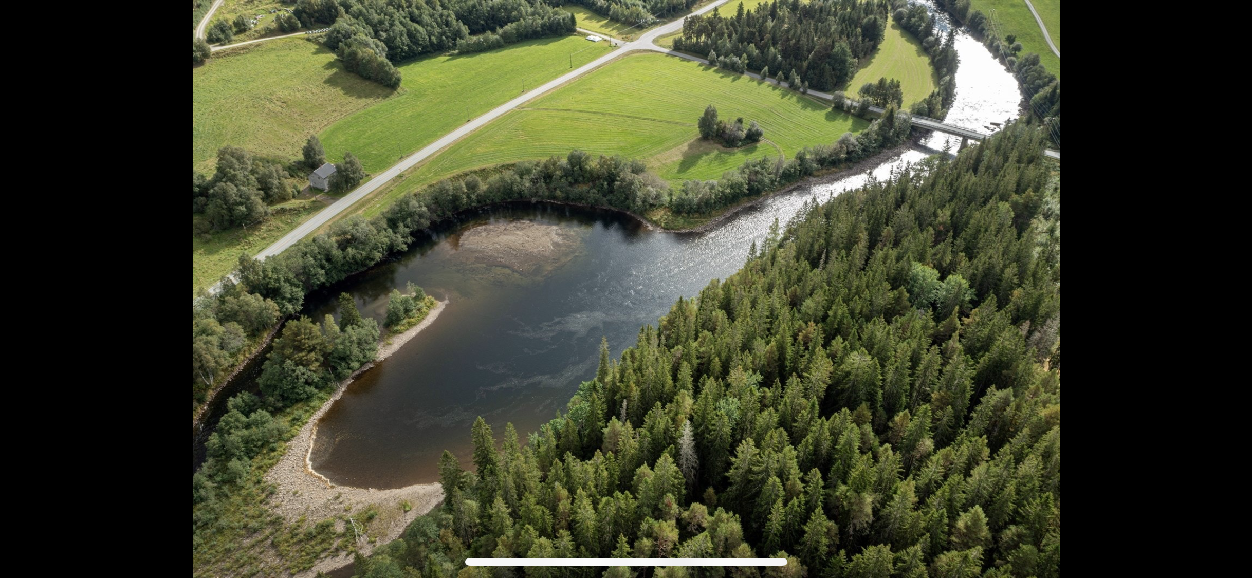 Tjønnhølen