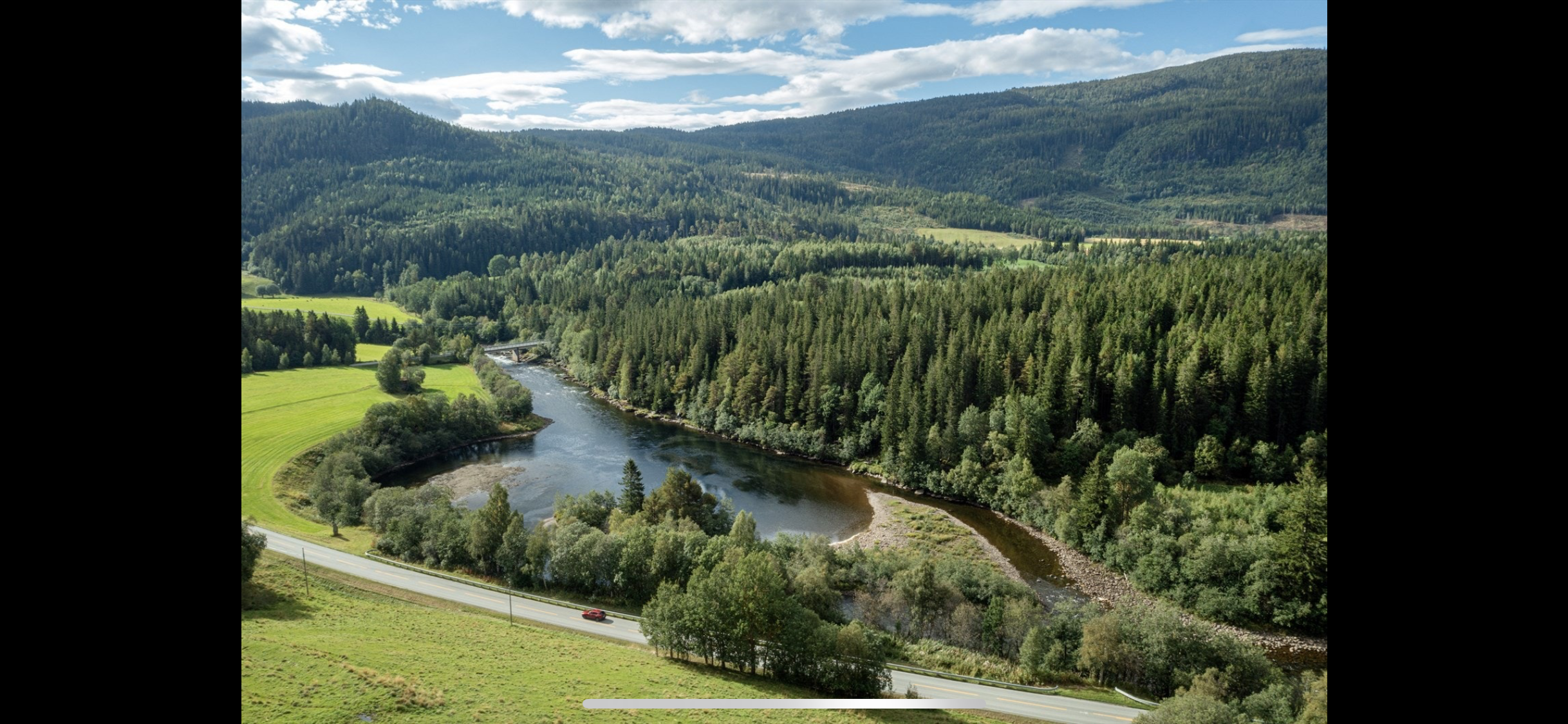 Tjønnhølen