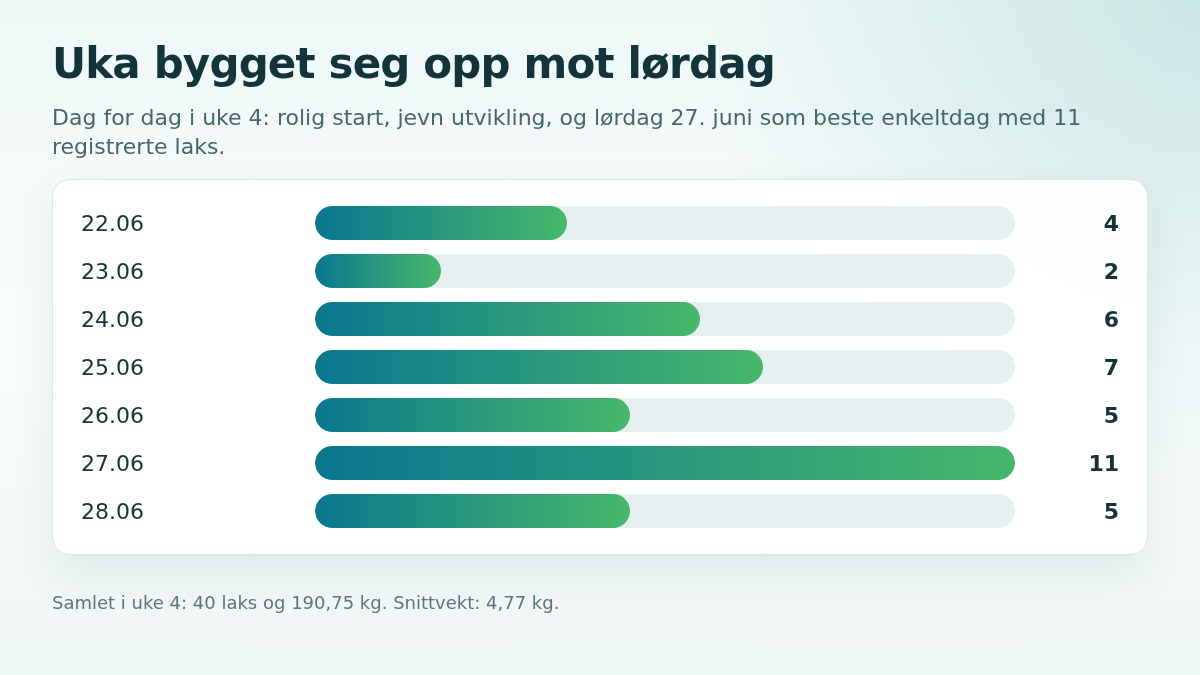Graf som viser dag for dag fordeling av laks i Orkla fra 22 til 28 juni 2026
