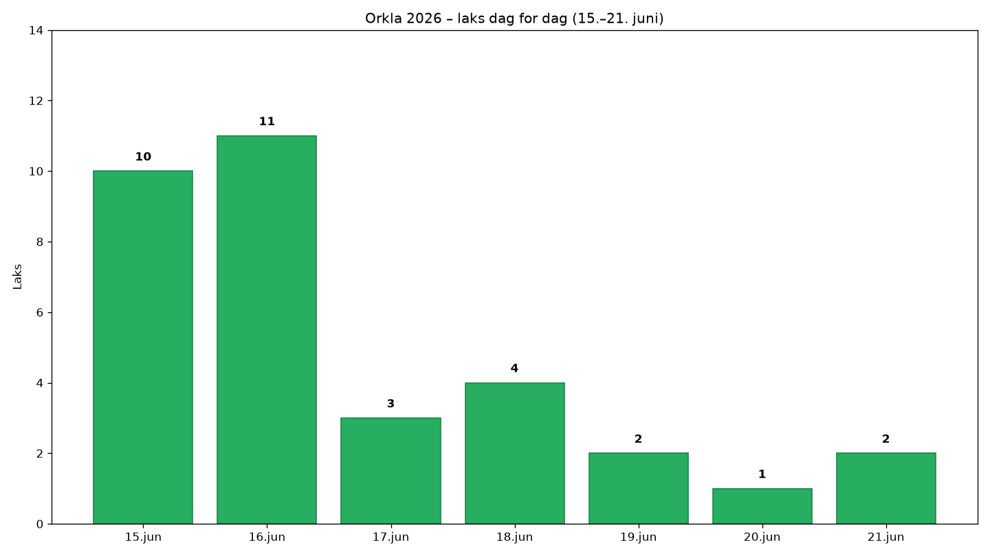 Graf som viser dag for dag fordeling av laks i Orkla fra 15 til 21 juni 2026