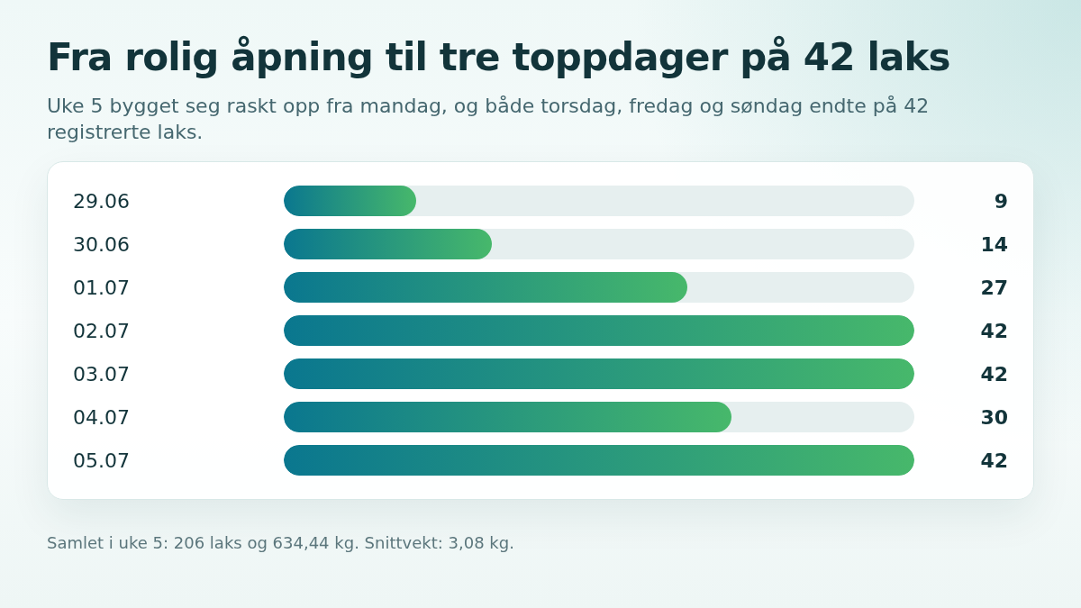 Graf som viser dag for dag fordeling av laks i Orkla fra 29 juni til 5 juli 2026