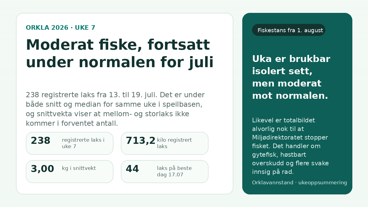 Oppsummeringsgrafikk for sjuende uka i Orkla 2026