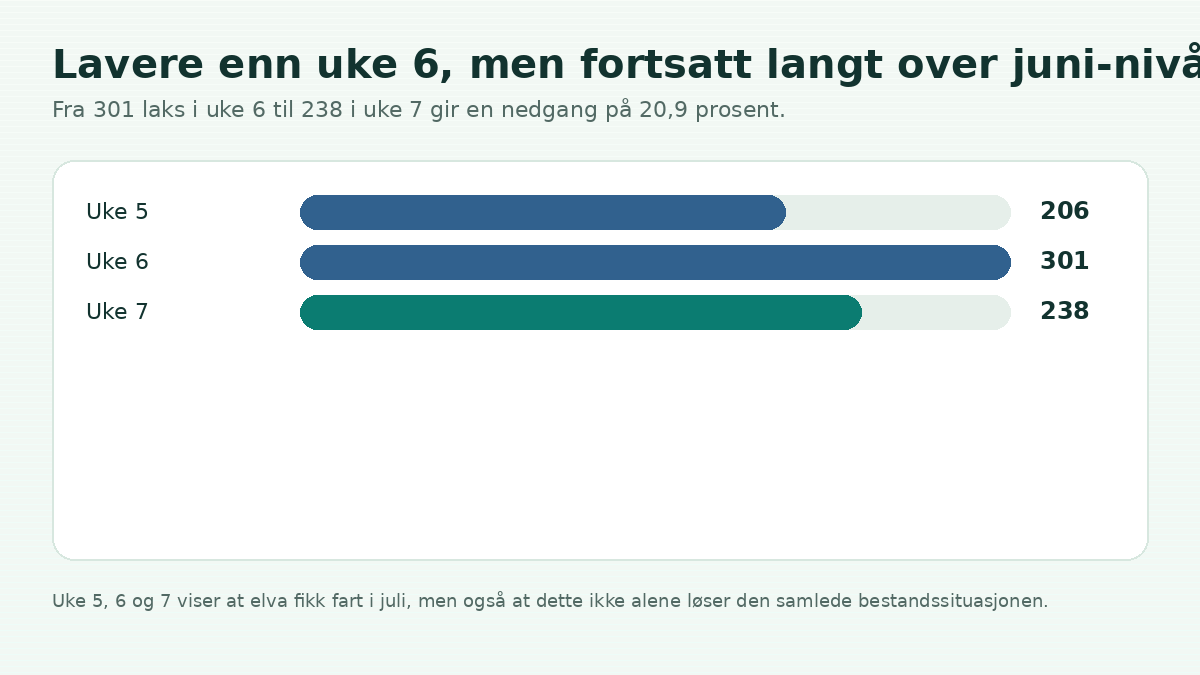 Graf som viser utviklingen fra uke 5 til uke 7 i Orkla 2026